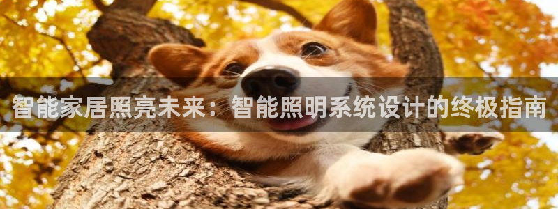 云顶国际网站怎么进不去了