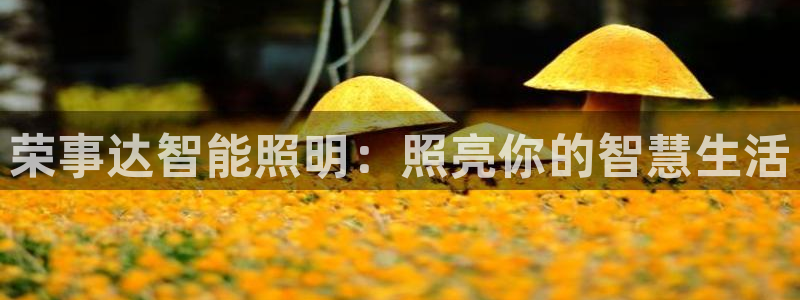 云顶国际服什么时候更新s117