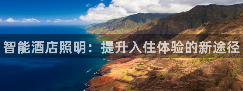 最新版云顶攻略
