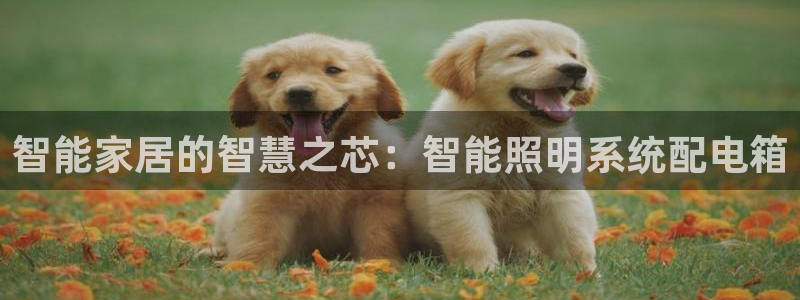 云顶集团林国泰