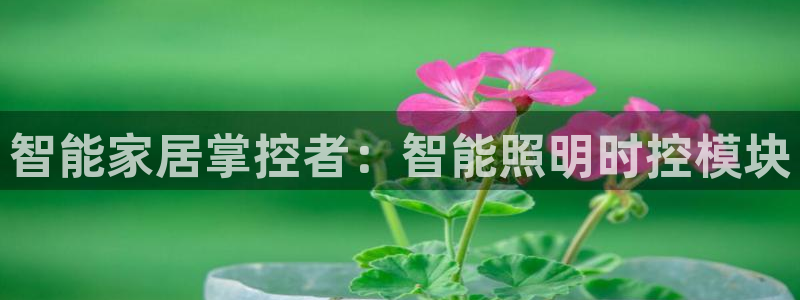云顶集团 中国排名第几