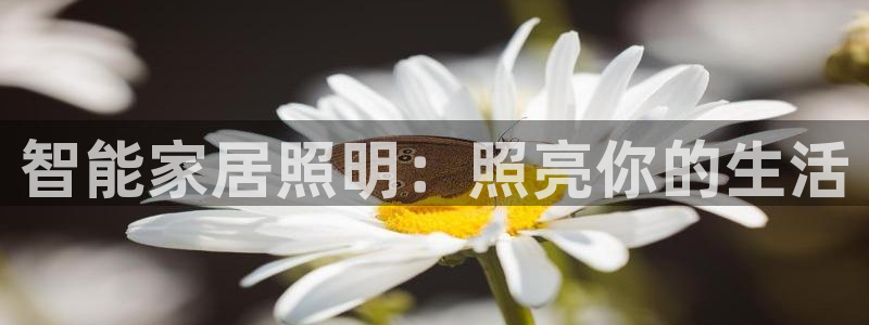 云顶国际怎么才能提现