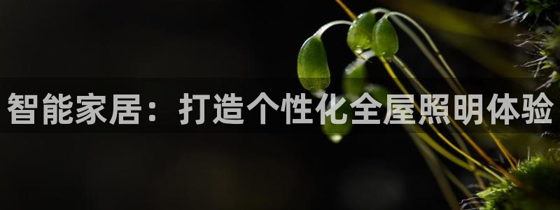 太原云顶国际酒店桑拿几楼