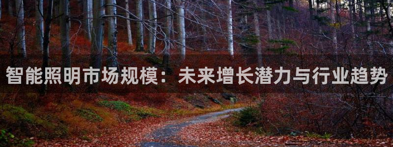 云顶国际服s11