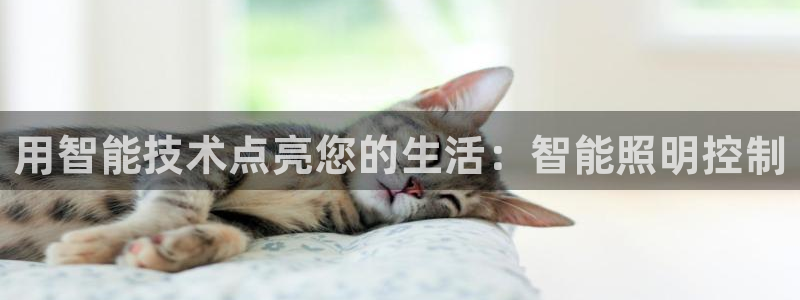 云顶国际app官网下载
