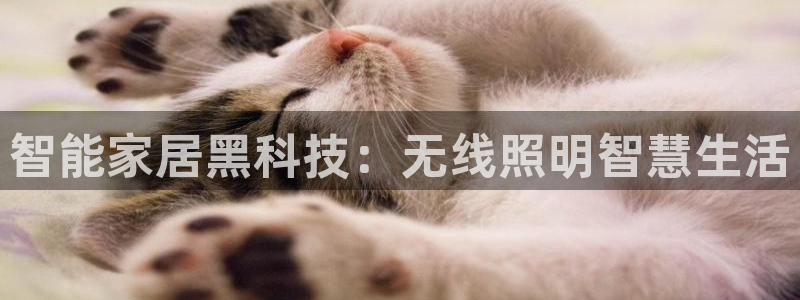 云顶国际存款