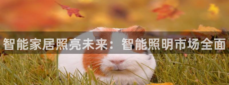 云顶集团游戏app