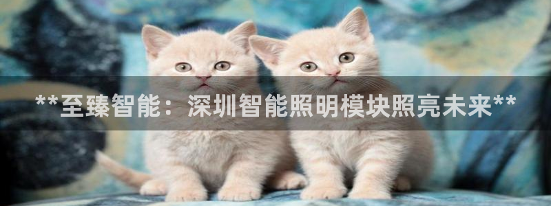 云顶国际是黑台吗
