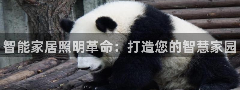 云顶集团专属app