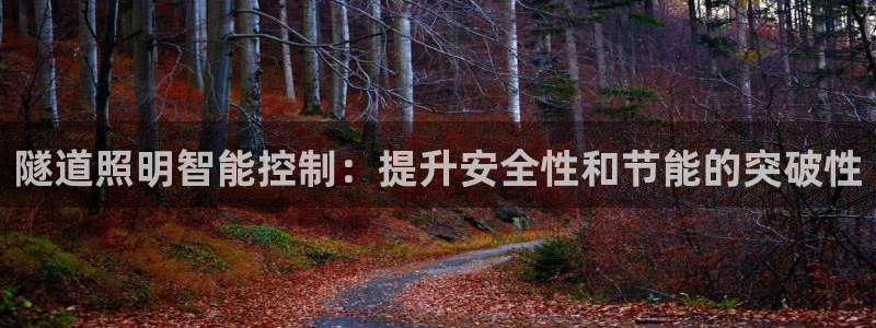 云顶国际服什么时候更新s119