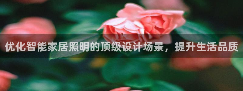 云顶国际--行业领导品牌