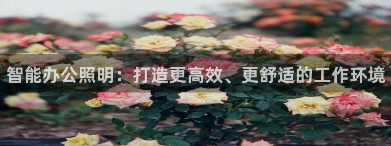 云顶国际25万没法提现