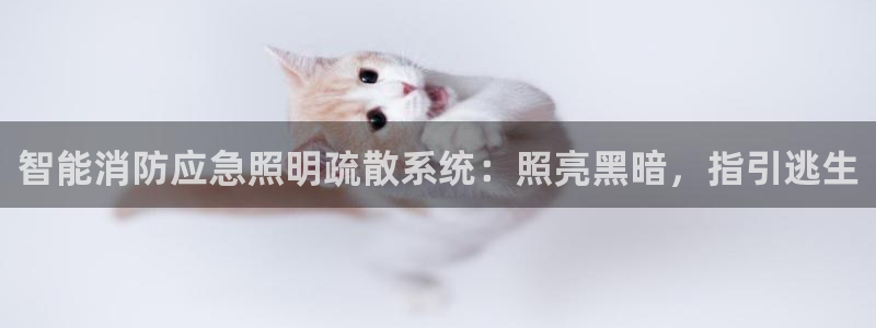 云顶集团网站注册