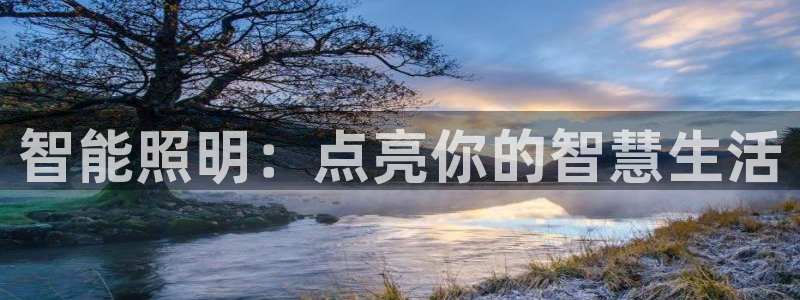 云顶电子游戏app