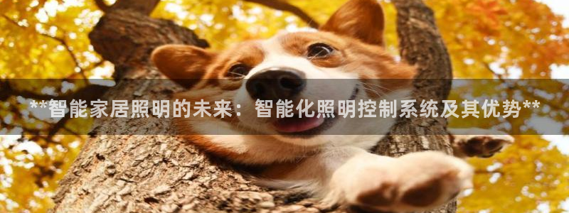 云顶手游国际服什么时候更新4.5