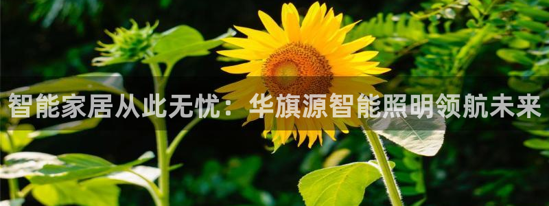 云顶国际晟荣协会会长是谁