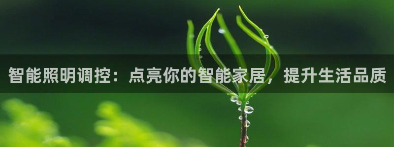 云顶国际软装公司怎么样啊