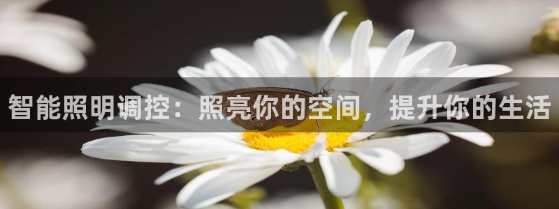 云顶国际提现让你拍身份证