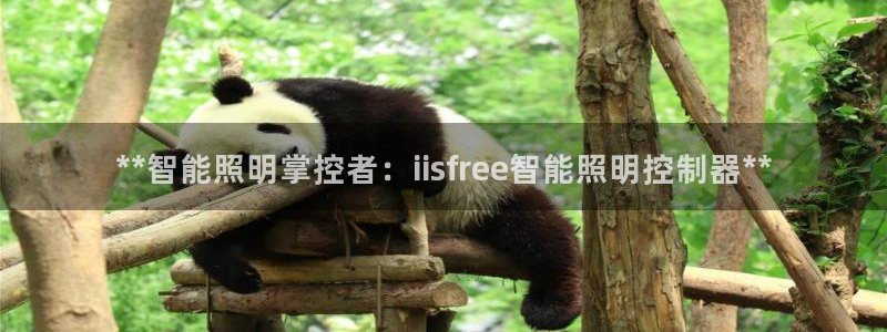 云顶国际赌彩公司下载