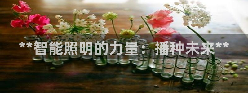 云顶游戏网站