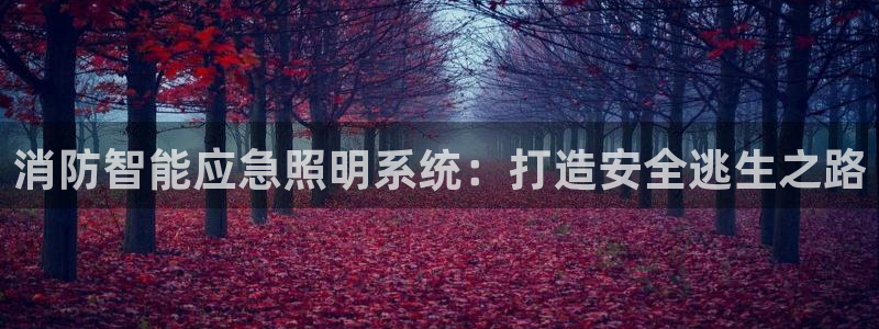 云顶集团林东简介