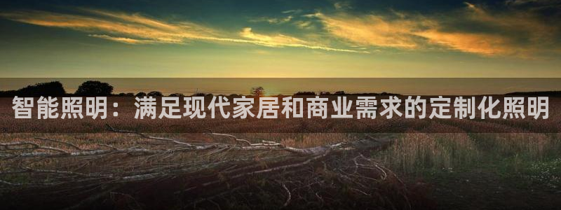 云顶国际服维护时间