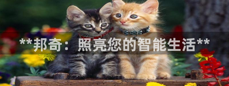 云顶国际黄钊华