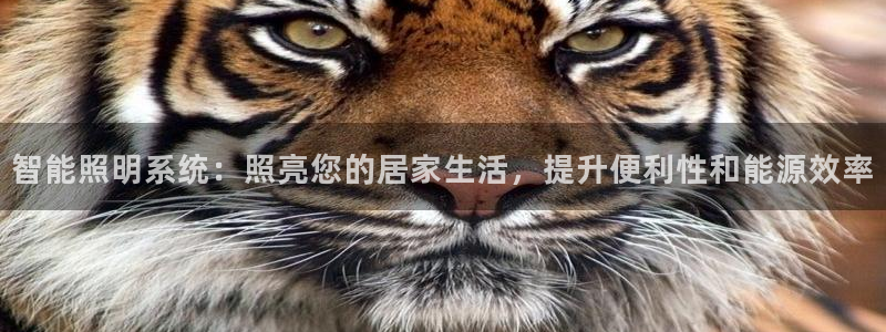 云顶国际高尔夫俱乐部怎么样