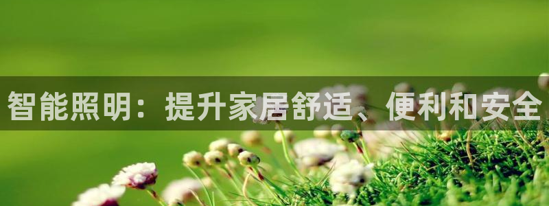 云顶国际电话号码查询
