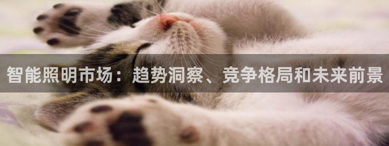云顶集团电话