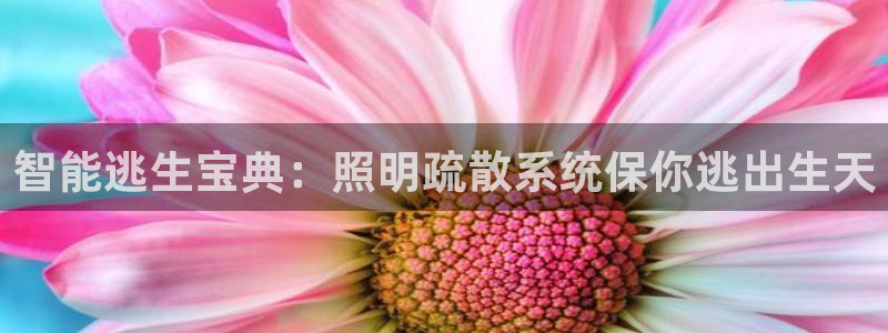 云顶国际酒店位置地图