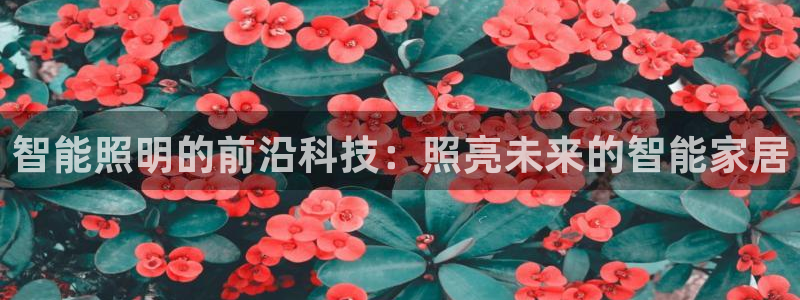 云顶国际注册送28
