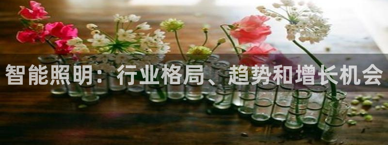 云顶集团老总简介
