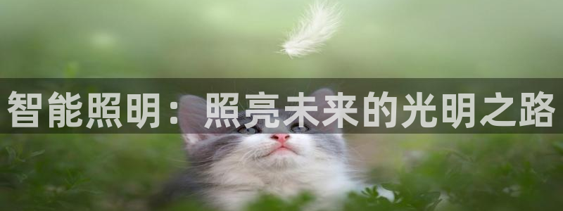 云顶国际服更新时间是多久