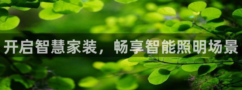 云顶国际服更新时间是多久