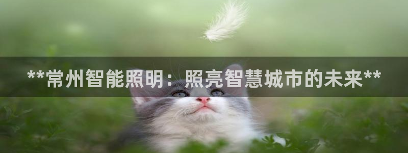 云顶国际是什么软件