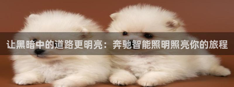 云顶国际软装公司怎么样知乎