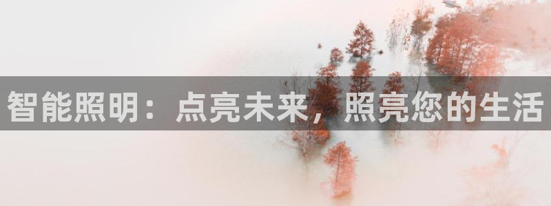 云顶国际是做什么的