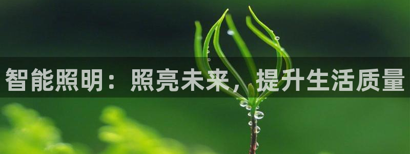 云顶国际服官网