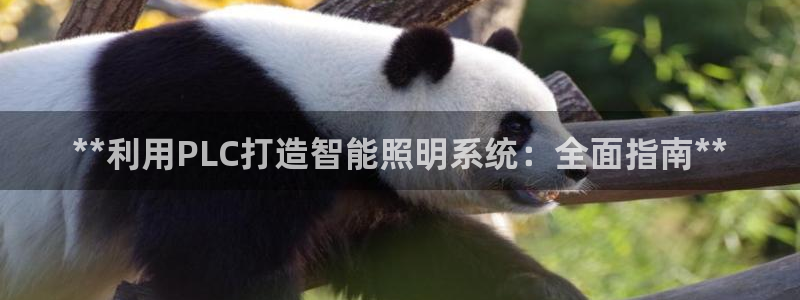 云顶 官网