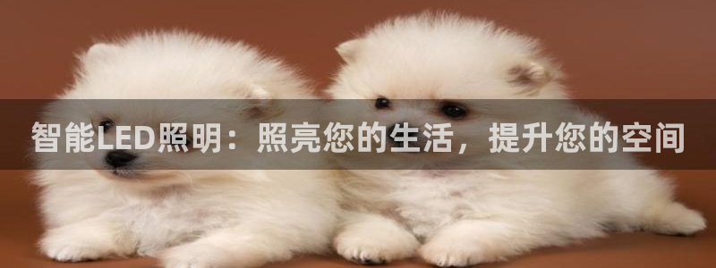 云顶国际游戏平台53m