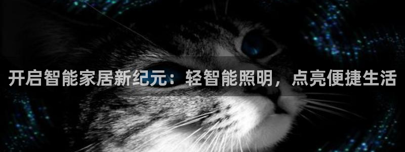 云顶国际物流电话
