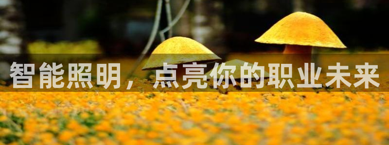 云顶国际会所