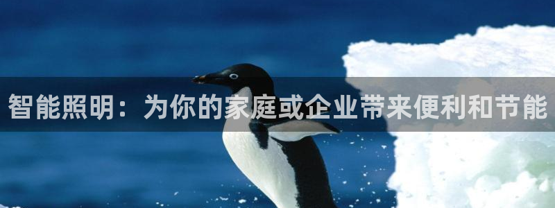 云顶集团有限公司简介概况