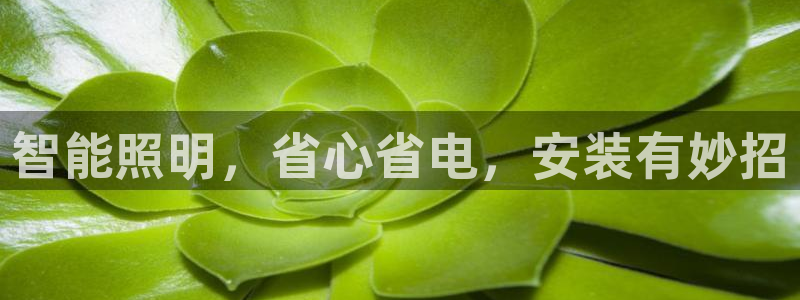 云顶国际服服务端错误