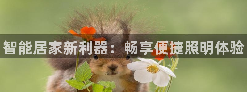 云顶com