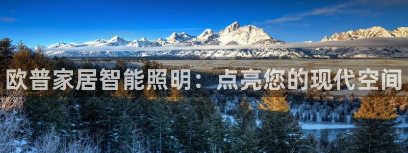 云顶国际服跨区数据