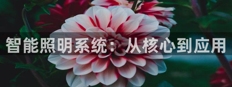 淮北云顶国际洗浴电话