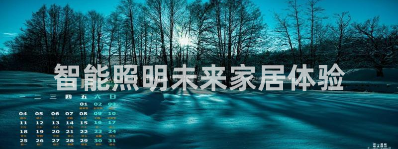 云顶国际服名字不可用