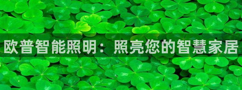 云顶国际服官网